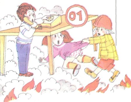 Безопасность в лесу для дошкольников