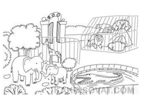 Животные джунглей