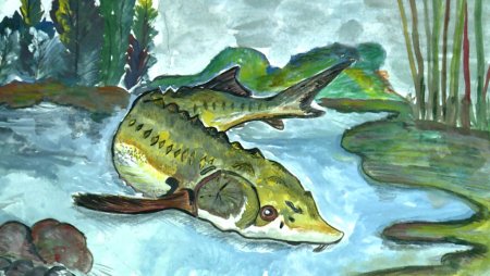 Рисунок Астраханского края