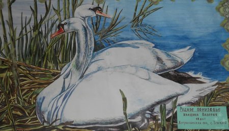 Природа Астраханского края рисунки