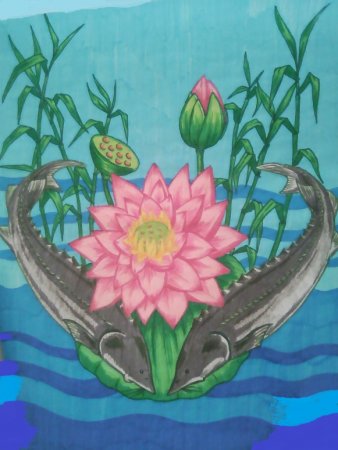 Лотос Астрахань рисунок