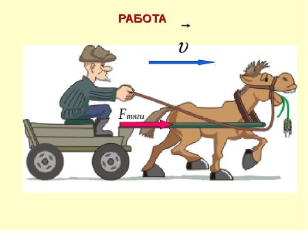 Лошадь тянет повозку