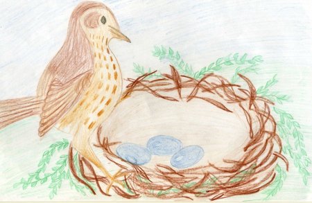 Иллюстрация к рассказу Бианки Лесные домишки