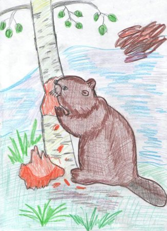 Дремучий медведь