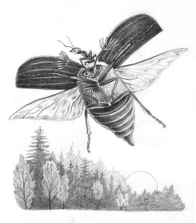 Виталий Бианки Майский хрущ