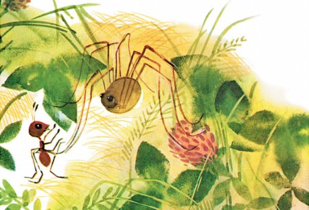 Бианки в. в. "приключения муравьишки"