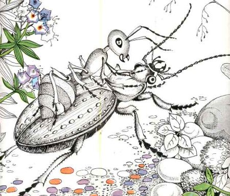 Приключение муравья Бианки