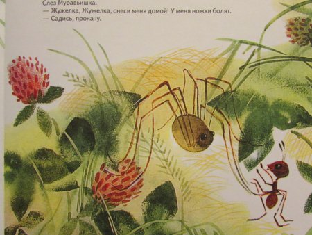 Бианки муравьишка домой спешил