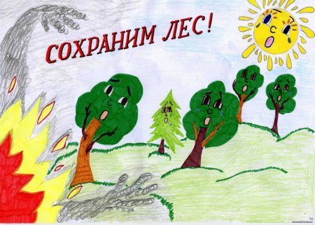 Рисунок на тему охрана природы