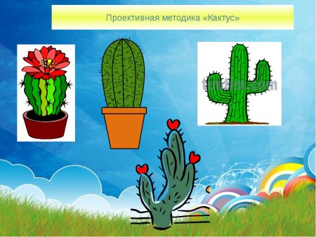 М А Панфилова Кактус