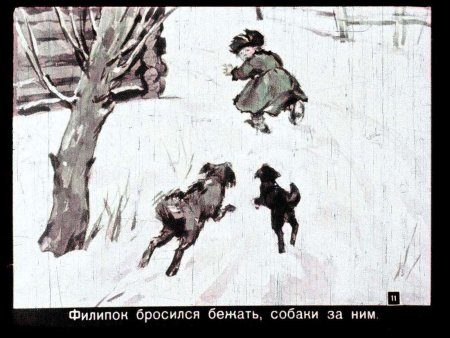Иллюстрации к рассказу Филипок Толстого