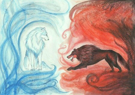 Победит тот волк которого ты кормишь