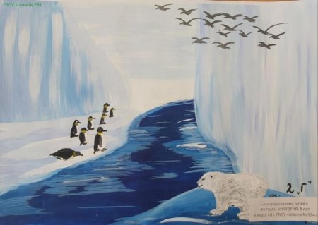 Арктика глазами детей рисунки