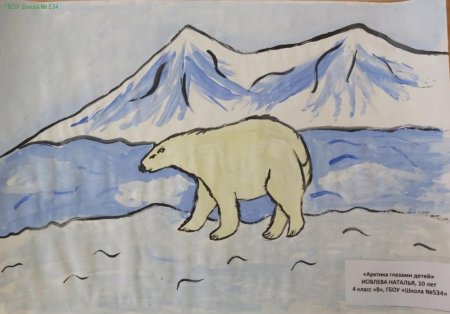 Рисование белого медведя