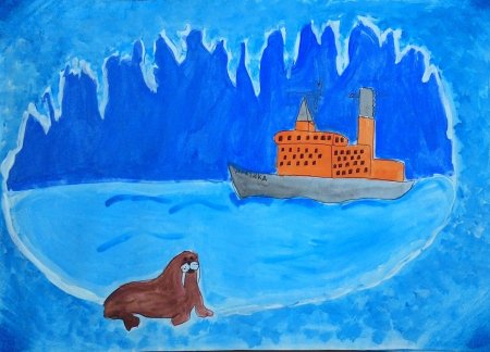 Рисование нерпы в старшей группе