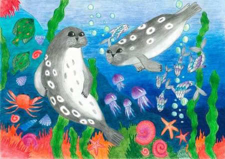 Арктика детские рисунки