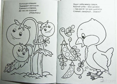 Загадки с рисунками
