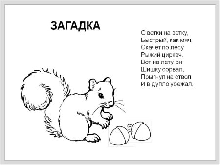 Загадки о животных для детей 1 класса