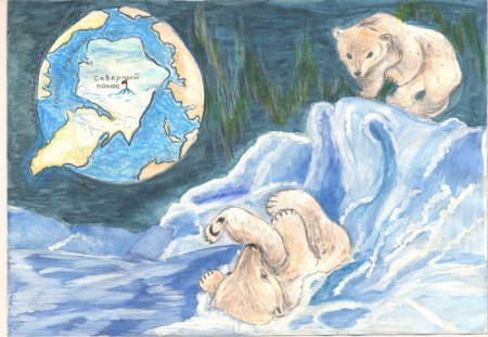 Арктика рисунок