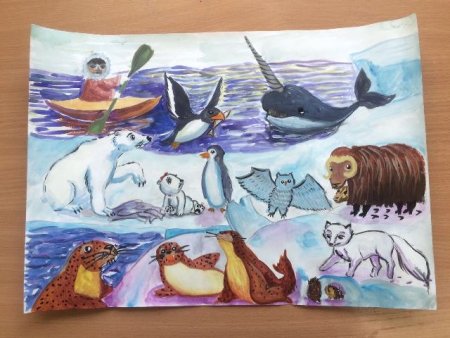 Арктика рисунок