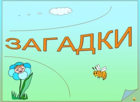 Загадки для детей