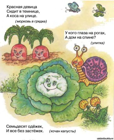 Загадки про овощи