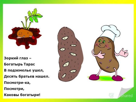 Загадки с иллюстрациями
