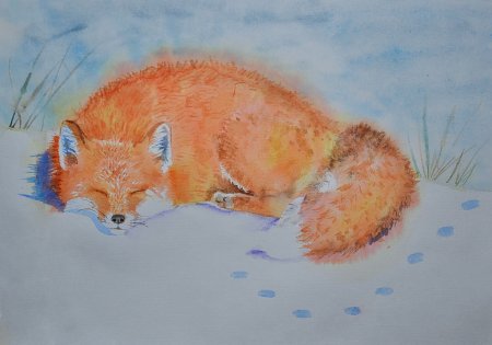 Лиса зимой акварель
