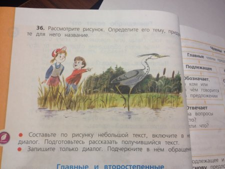 Рассмотри рисунок определите его тему
