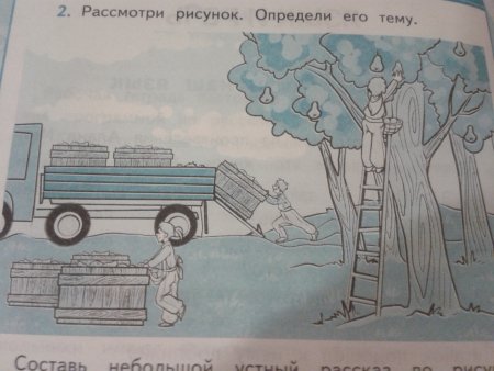 Рассмотрите рисунок определите его тему