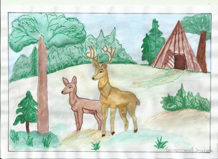 Заповедник рисунок