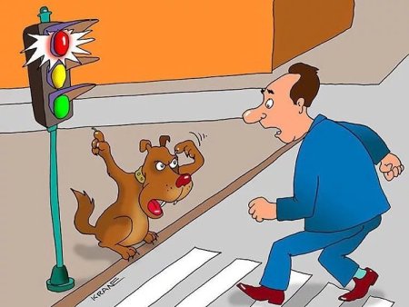 Нарушитель ПДД карикатура