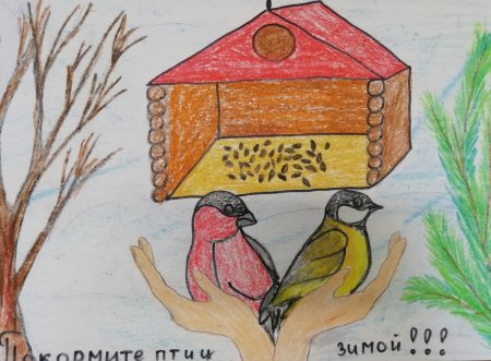 Плакат берегите птиц