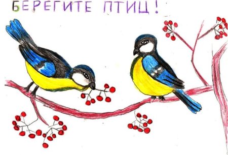 Надпись берегите птиц