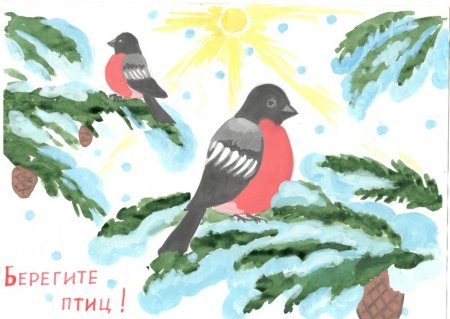 Плакат берегите птиц