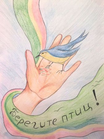 Листовки о защите птиц