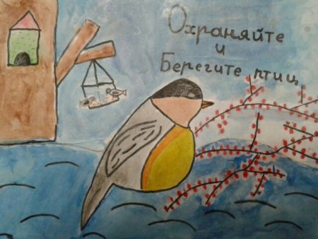 Покормите птиц зимой