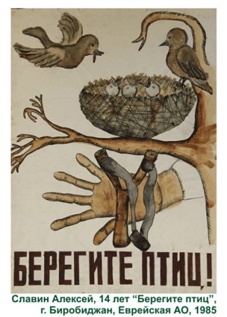 Берегите птиц рисунок на конкурс