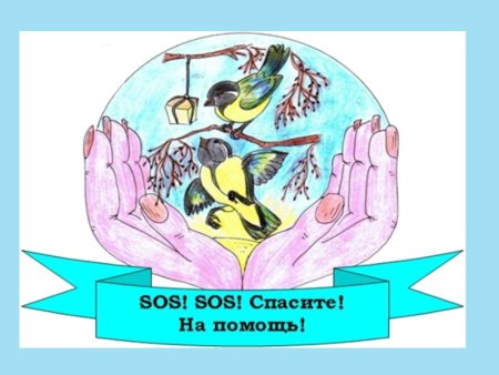 День птиц плакат