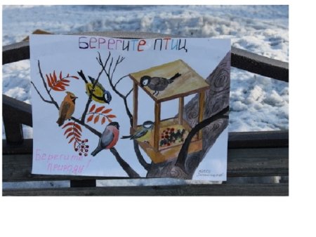 Рисование на тему кормушка для птиц