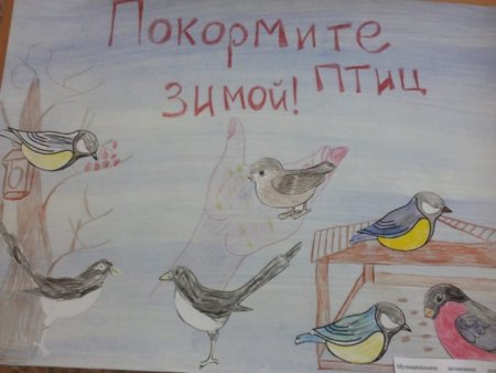 Рисование птицы на кормушке