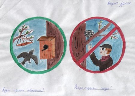 Плакат поможем зимующим птицам