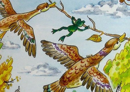 Лягушка путешественница разукрашка