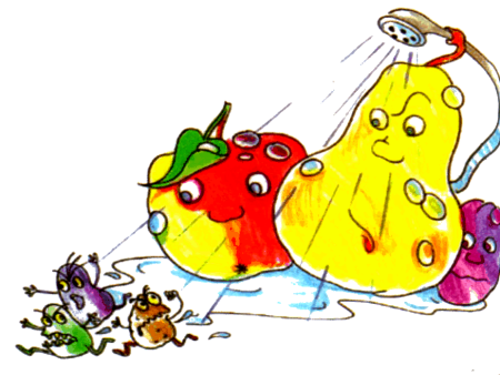 Микробы на фруктах