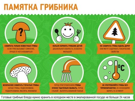 Профилактика отравления грибами памятка