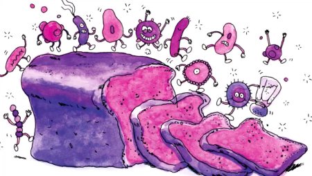 Пищевые токсикоинфекции микробы