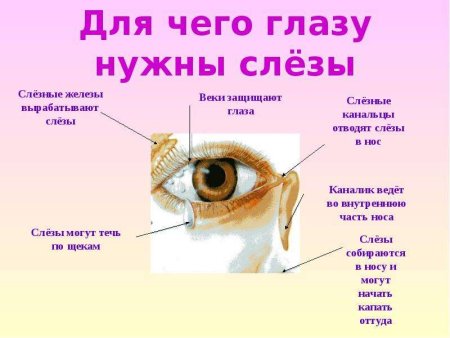 Способы сохранения зрения