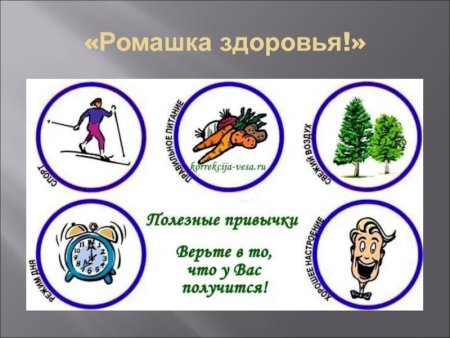 Полезные привычки ЗОЖ