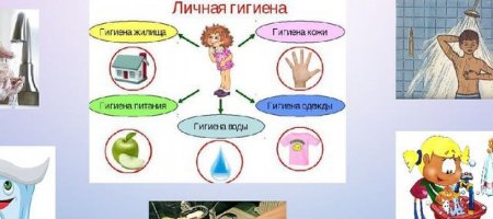 Соблюдение правил личной гигиены ЗОЖ