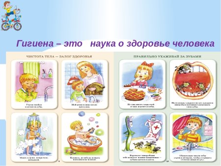Здоровый образ жизни гигиена